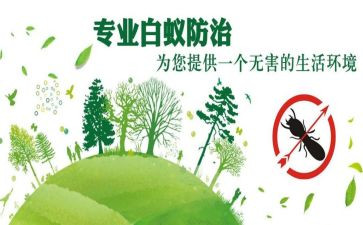 性病防治工作总结8篇
