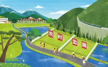 上实发展与教育心得体会8篇