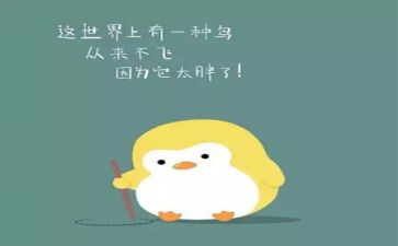 减肥营心得体会7篇