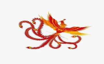 凤凰作文8篇