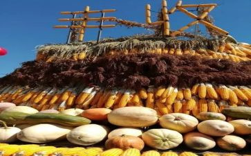 大班音乐《苹果丰收》教案5篇