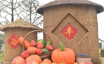 2024年农民丰收节活动方案7篇