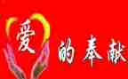 公益奉献心得体会5篇