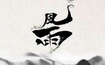 风雨数的歌读后感7篇