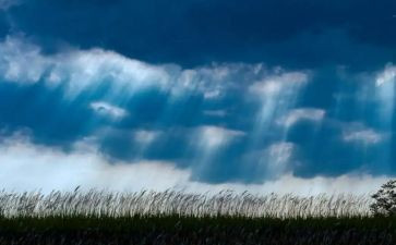 风雨作文800字推荐6篇