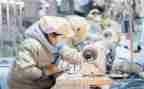 疫情复工复产方案模板6篇