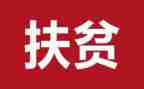 年度扶贫工作计划6篇