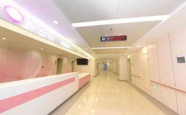 村妇幼保健工作计划参考5篇