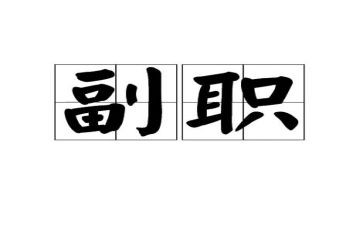 副职的述职报告范文5篇