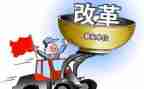 110改革工作总结7篇