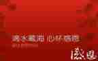 感恩的演讲稿800字优秀范文5篇