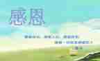 感恩老师的演讲稿范文优质6篇