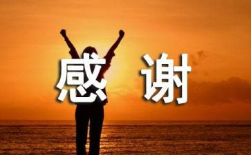我最感谢的他作文5篇