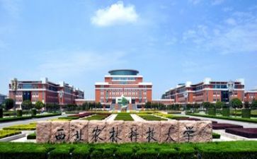 高校招就个人述职报告精选8篇