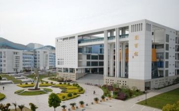 高校招就个人述职报告5篇