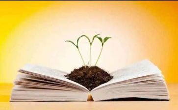 给予优秀作文6篇