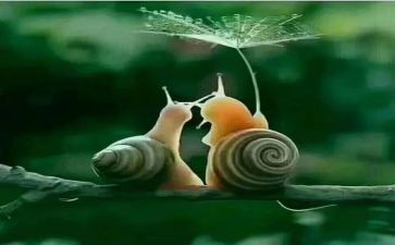 《给予》600字作文优秀8篇