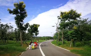 关于写公园的作文推荐6篇