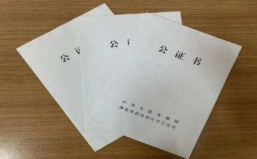公证处2024年工作总结8篇