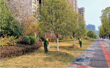 2024主管护师个人总结6篇