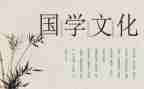 国学类的作文模板6篇