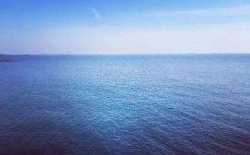 海苔调研报告参考8篇