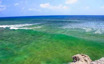 海苔调研报告模板6篇