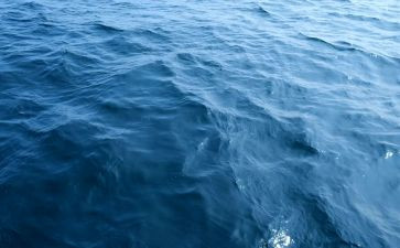 海训心得体会500字精选8篇