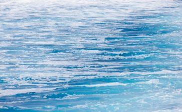 海洋污染心得体会7篇