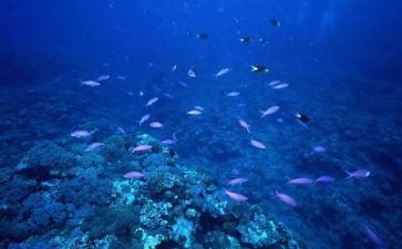 海底两万里的读后感5篇