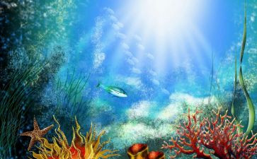 海底两万里的读后感海底两万里的读后感精选8篇