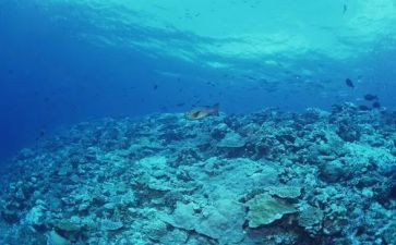 海底两万里100字读后感7篇