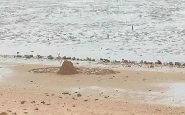 海砂工作总结报告范文优秀5篇
