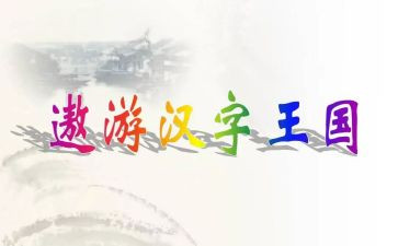 《汉字王国》读后感5篇
