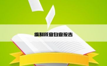碳核查工作总结6篇