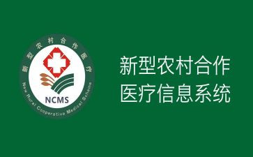 医保合疗工作计划8篇