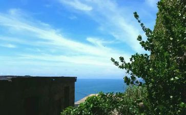 我的姐姐很优秀作文7篇