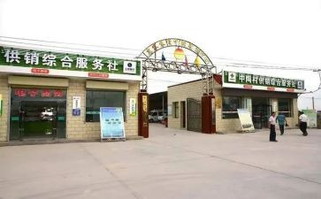 村合作社工作总结6篇