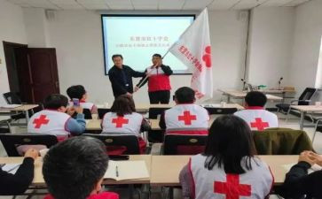 乡红十字会工作总结6篇