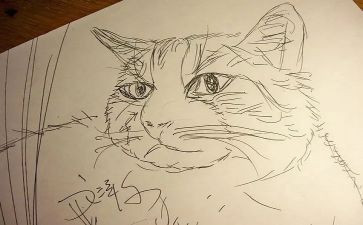 小班《画》教案反思7篇