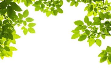 对环保工作总结优质7篇