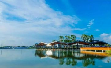 关于环境调查报告推荐5篇