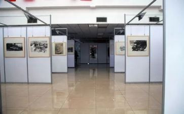 幼儿画展活动方案6篇