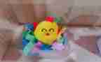 幼儿园护蛋活动的总结5篇