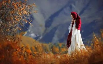 成长回眸作文800字7篇