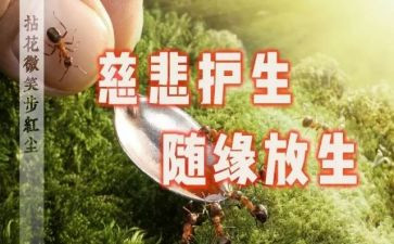 守护生命作文8篇