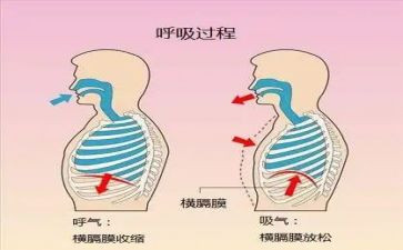 呼吸内科月工作计划5篇