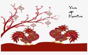 煮鸡蛋的作文300字6篇