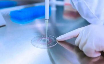 质量检测总结报告6篇