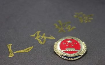2024检察院副检察长述职报告6篇